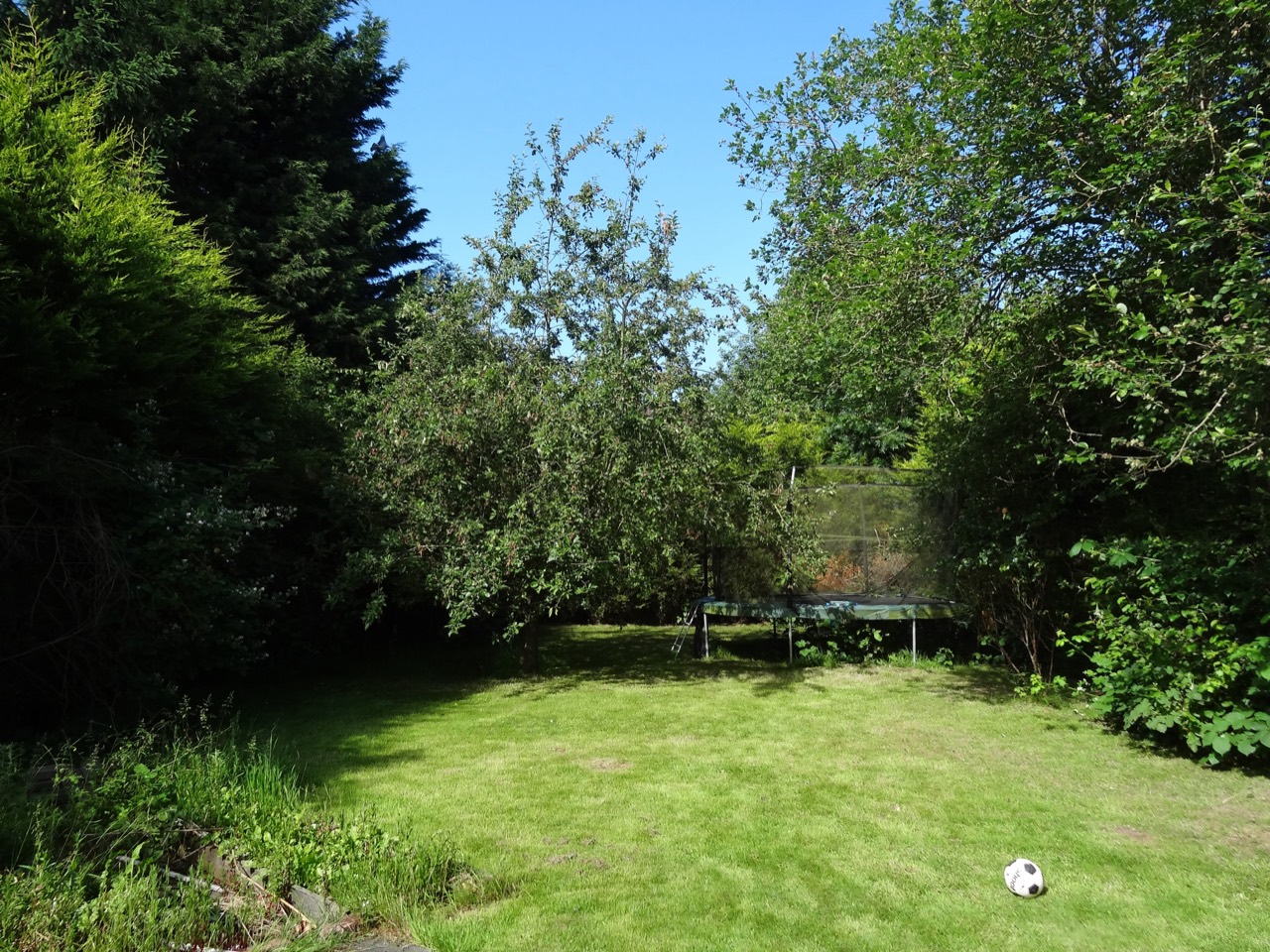 The far end of the garden with the trampoline and a football on the lawn.