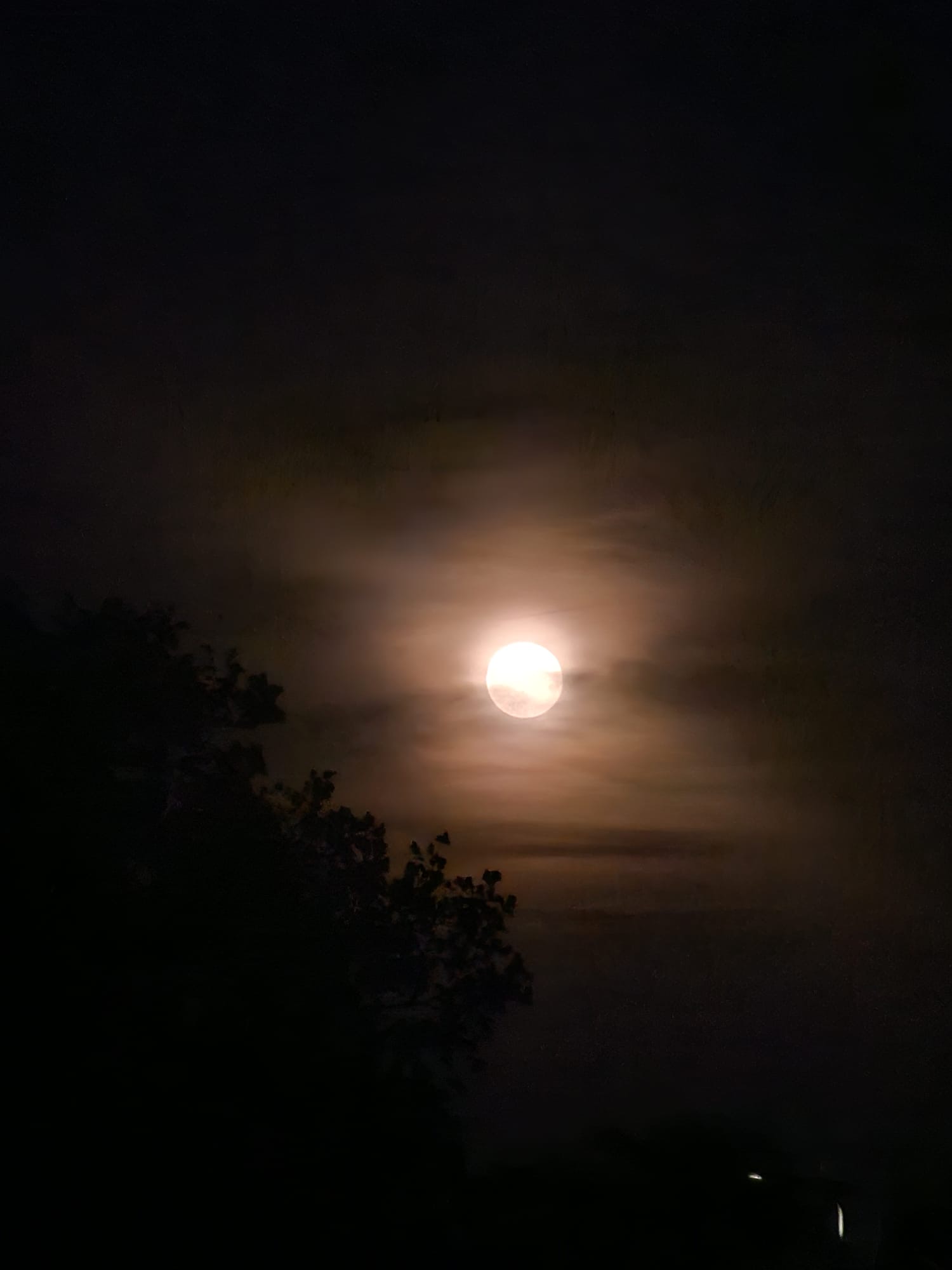 A glowing moon behind soft clouds in a dark night sky.