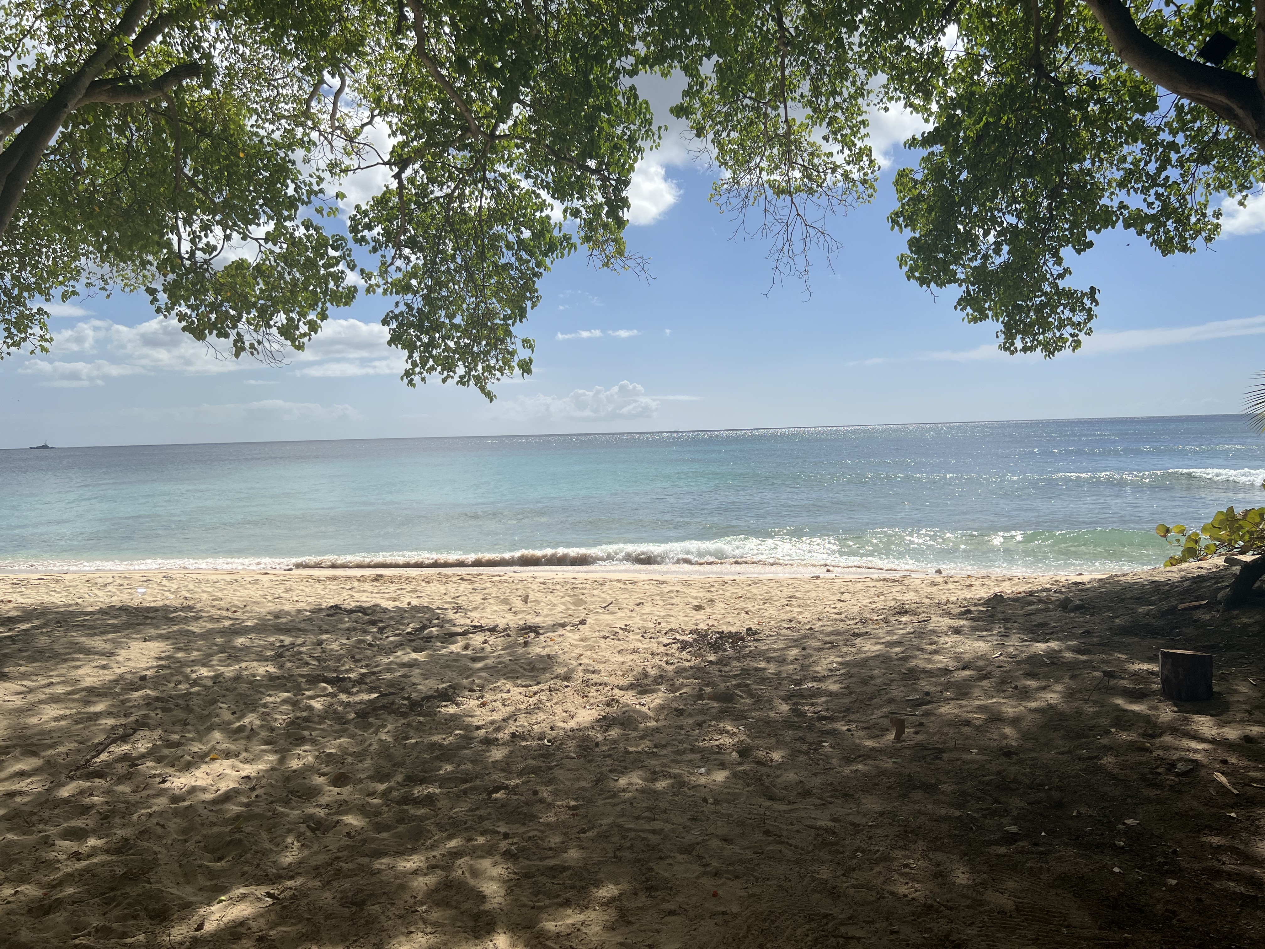 A Barbados memory photograph from the With Love folder.